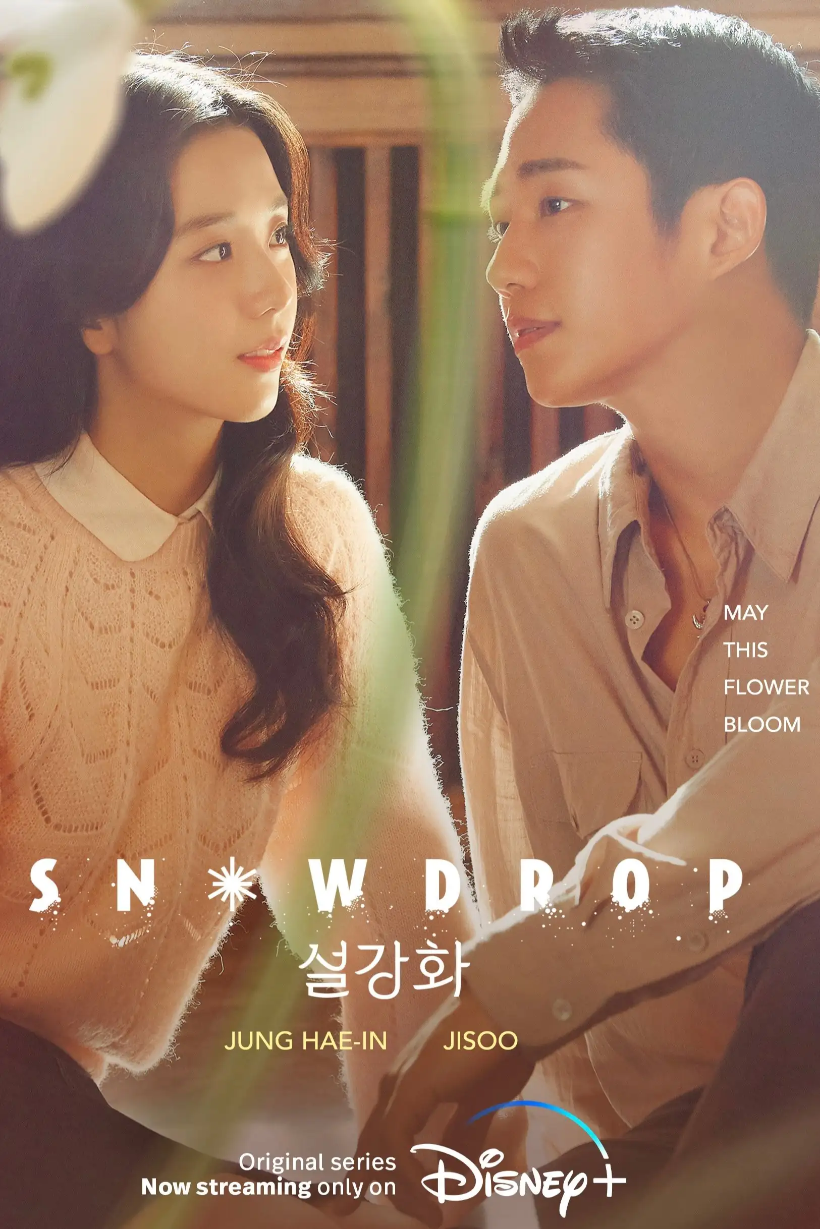 Snowdrop (TV Series 2021-2022) - Posters — The Movie Database (TMDB)