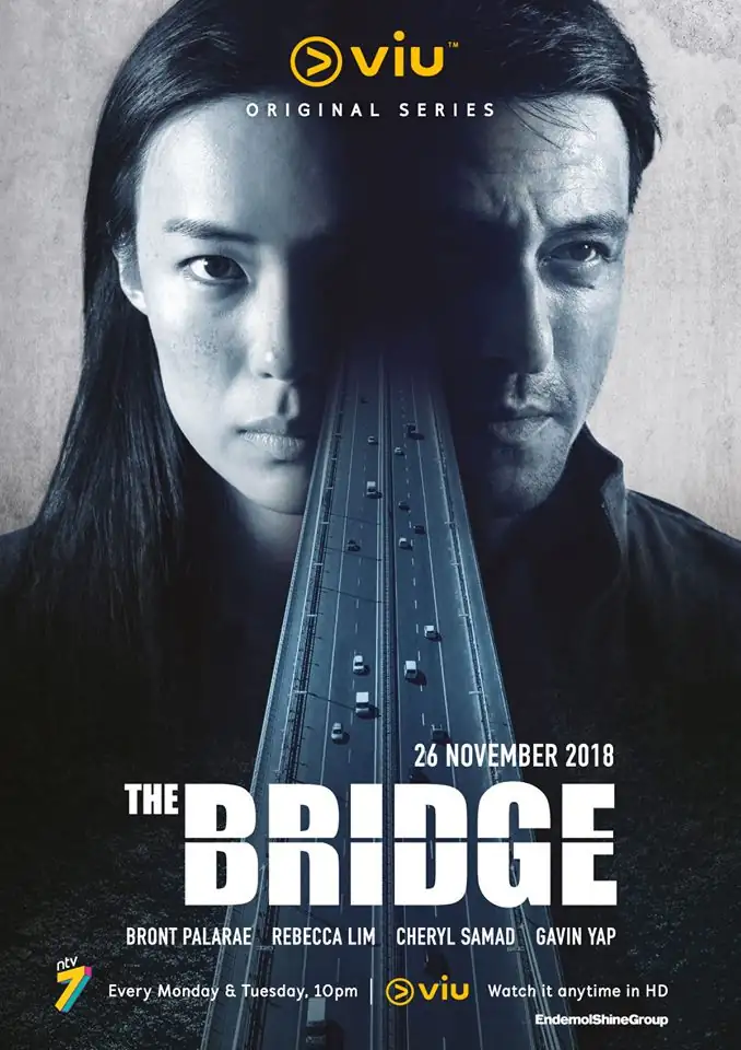 The Bridge (TV Series 2013–2014) - IMDb