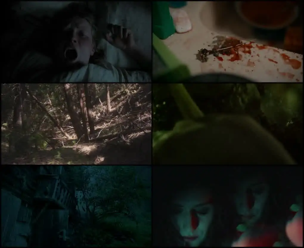 download the field guide to evil (2018) dual audio {hindi-english} bluray 480p [400mb] | 720p [1.1gb] | 1080p [2.5gb]