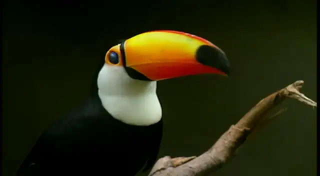 download the secret (2006) dual audio {hindi-english} 480p [300mb] | 720p [700mb]