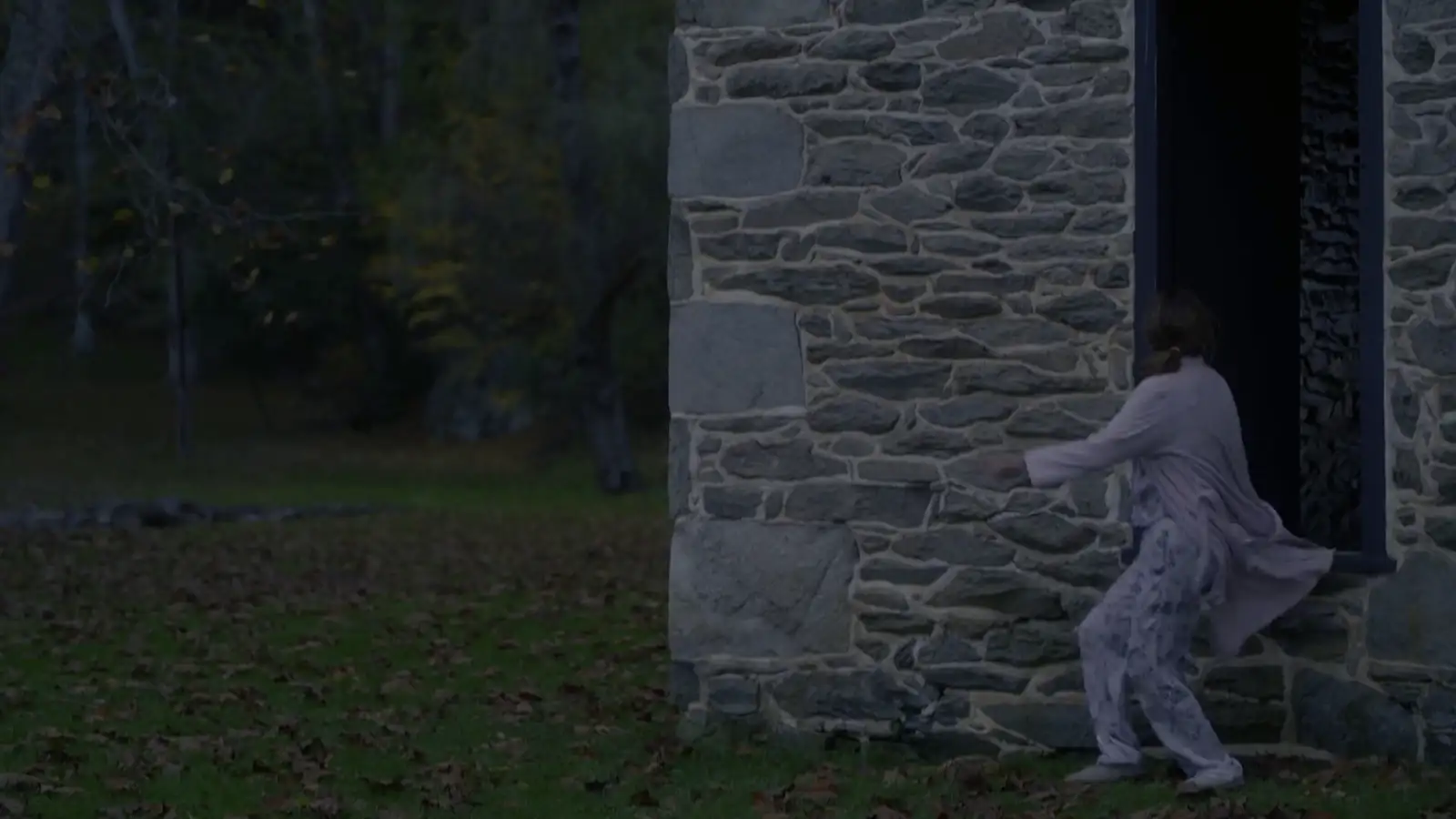 download the surprise visit (2022) {english with subtitles} full movie web-dl 480p [250mb] | 720p [700mb] | 1080p [1.7gb]