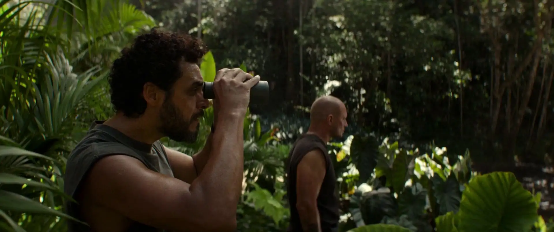 screenshot 0439ea anaconda 2025