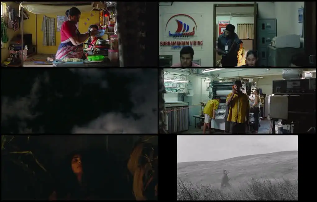 screenshot 073c95 sister midnight 2025