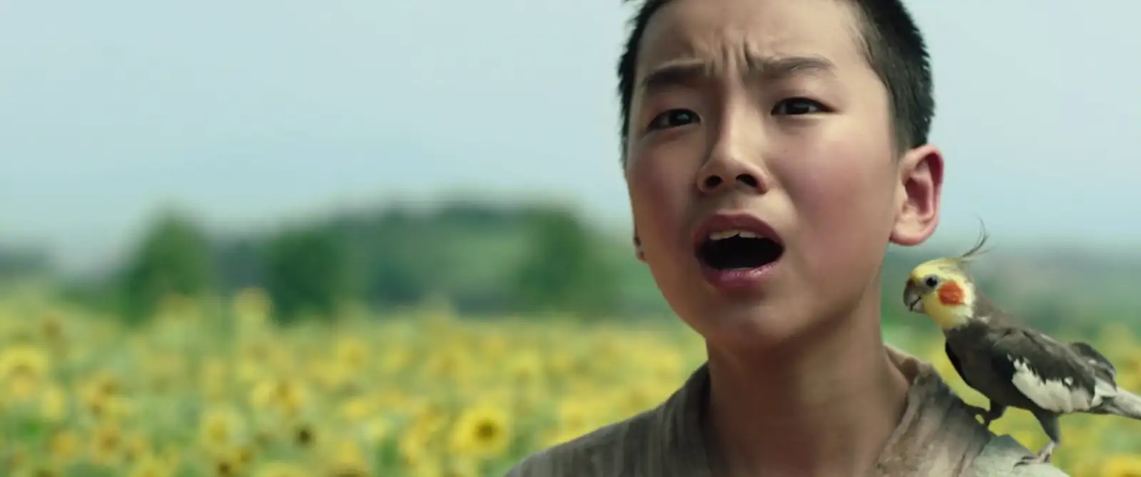 download memories of the sword (2015) dual audio [hindi org. + korean] web-dl 480p [450mb] | 720p [1.2gb] | 1080p [2.6gb]