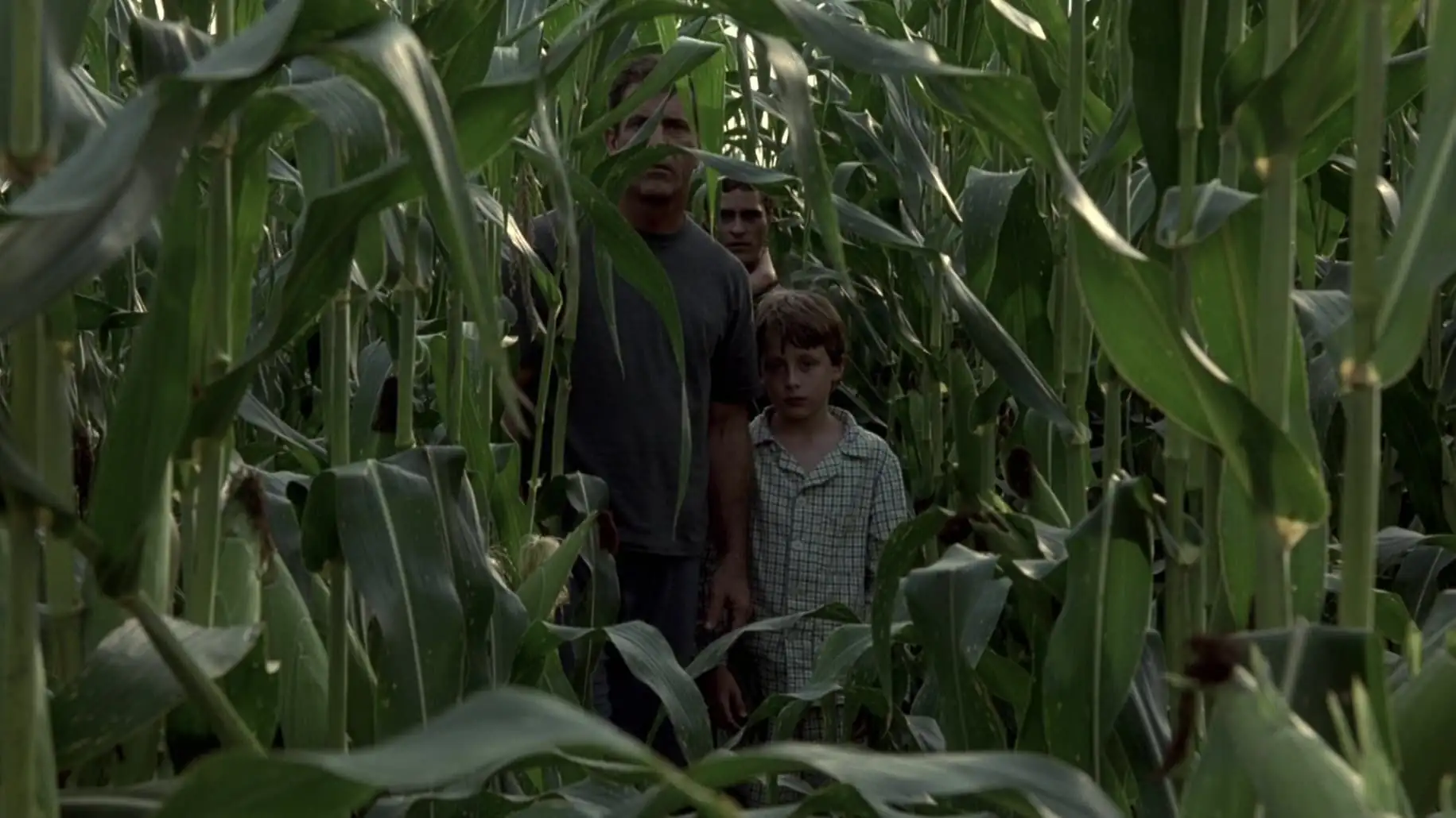 download signs (2002) remastered bluray dual audio {hindi-english} 480p [380mb] | 720p [1.1gb] | 1080p [2.2gb]