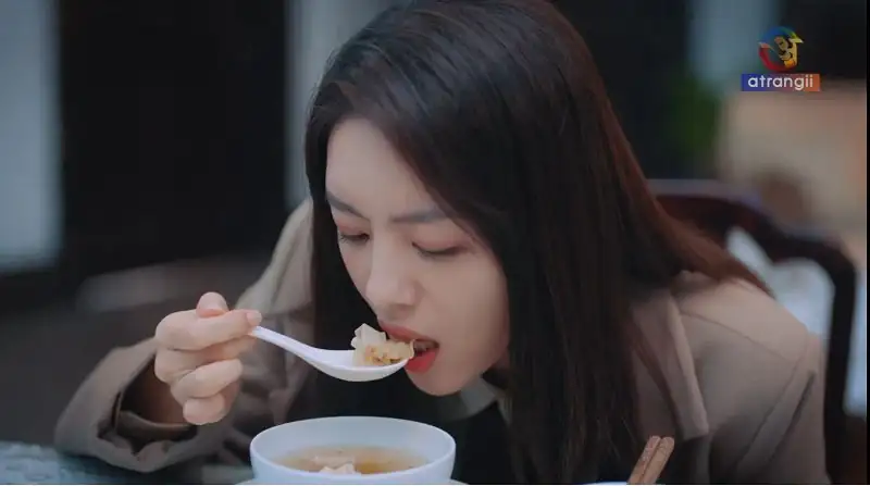 download live your life (season 1) complete hindi dubbed (org) all-episodes c-drama tv series 480p | 720p | 1080p web-dl