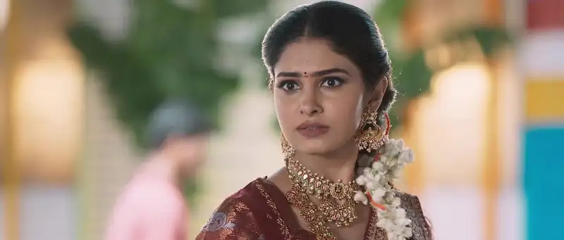 screenshot 177e6f devaki nandan vasu deva 2024