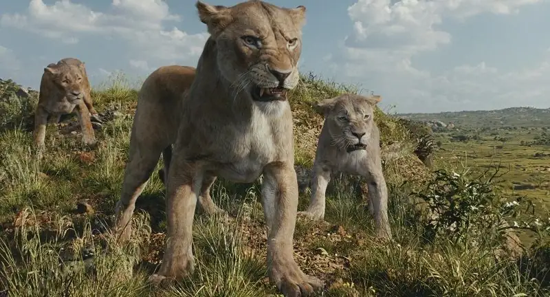 download mufasa: the lion king (2024) bluray dual audio {hindi-english} jiohotstar 480p | 720p | 1080p & 2160p 4k download mufasa: the lion king (2024) bluray dual audio {hindi-english} jiohotstar 480p | 720p | 1080p & 2160p 4k