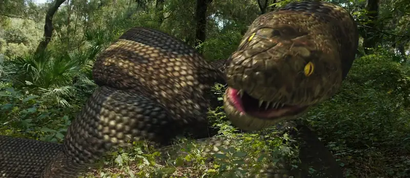 download megaboa (2021) bluray dual audio {hindi-english} 480p [300mb] | 720p [800mb] | 1080p [2gb]