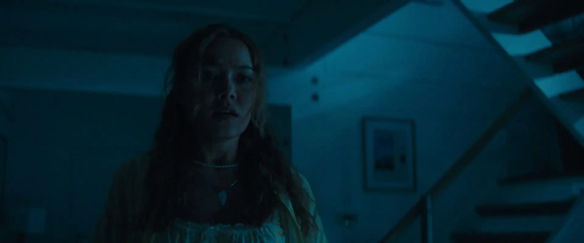 screenshot 1a052e primate 2025