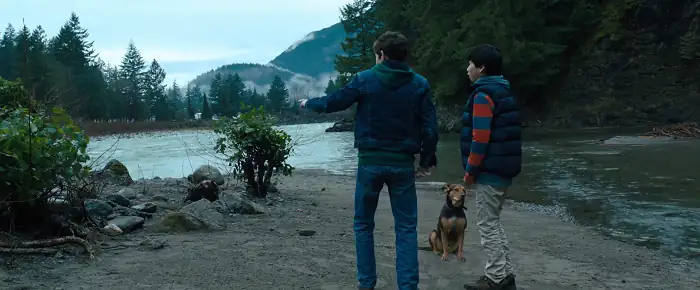 download a dogs way home  (2019) dual audio {hindi-english} 480p [300mb] | 720p [800mb] | 1080p [2gb]