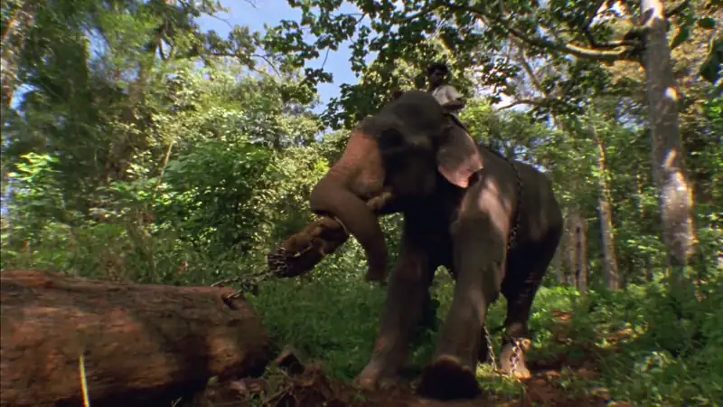 download ganges (2007) dual audio {hindi-english} 480p [500mb] | 720p [1.4gb] | 1080p [3gb]