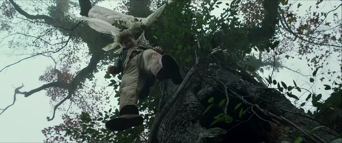 screenshot 1cc111 the chinese widow 2017