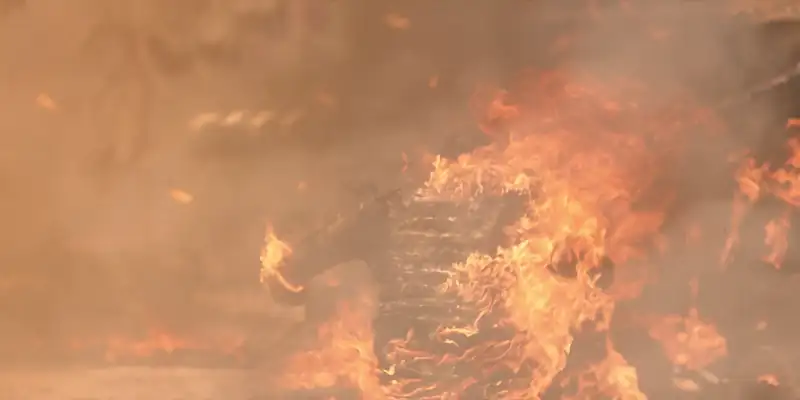 download the big 4 (2022) web-dl {english with subtitles} full movie 480p [450mb] | 720p [1.2gb] | 1080p [2.7gb]