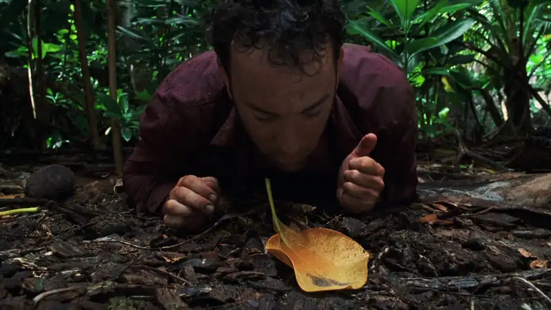 download cast away (2000) bluray dual audio {hindi-english} 480p [500mb] | 720p [1.2gb] | 1080p [3gb]