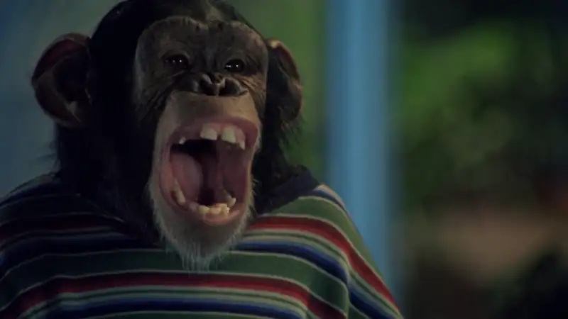 download mvp most valuable primate (2000) dual audio [hindi + english] web-dl 480p [300mb] | 720p [900mb] | 1080p [2gb]