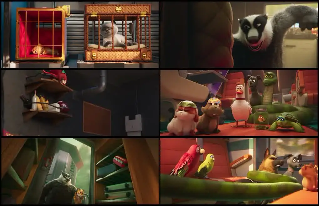 screenshot 239589 pets on a train 2025