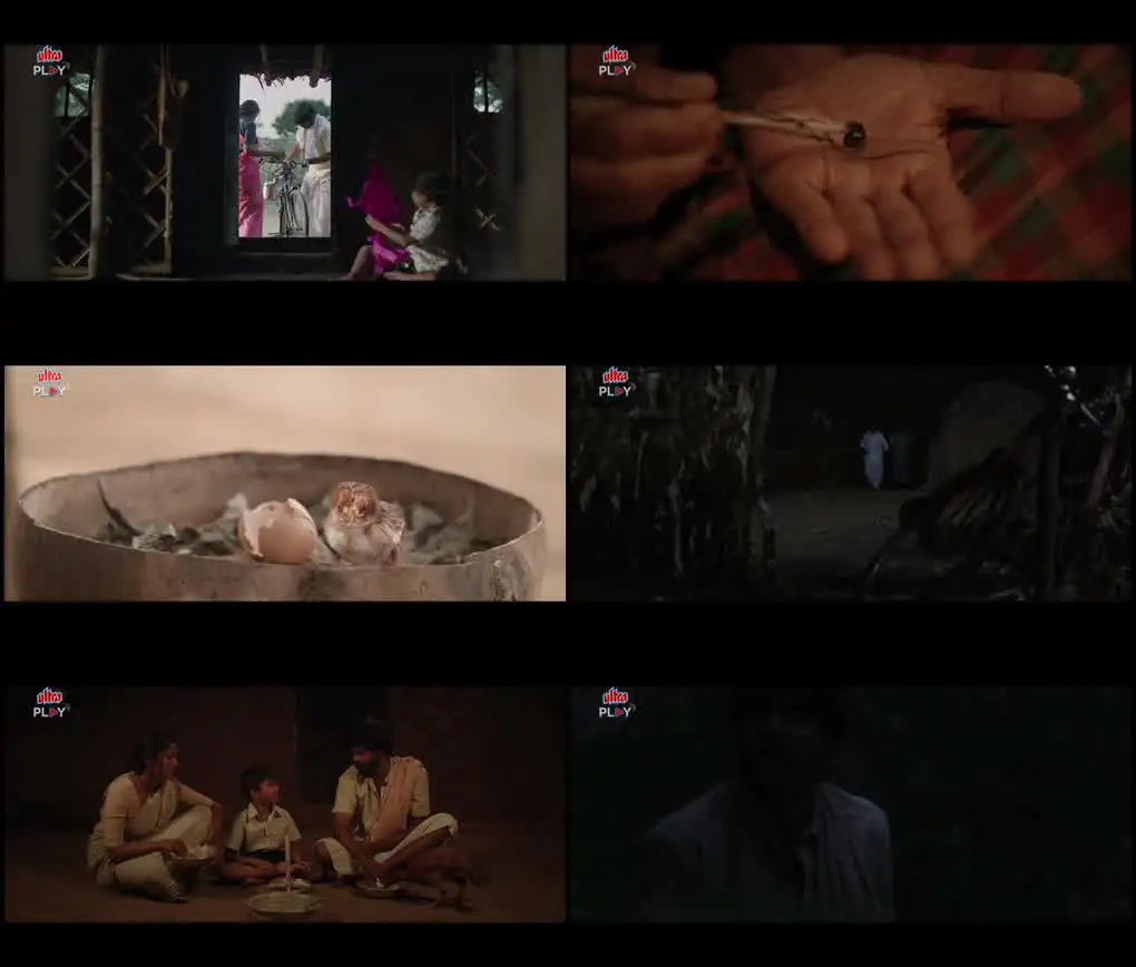 screenshot 256baf sevappi 2024