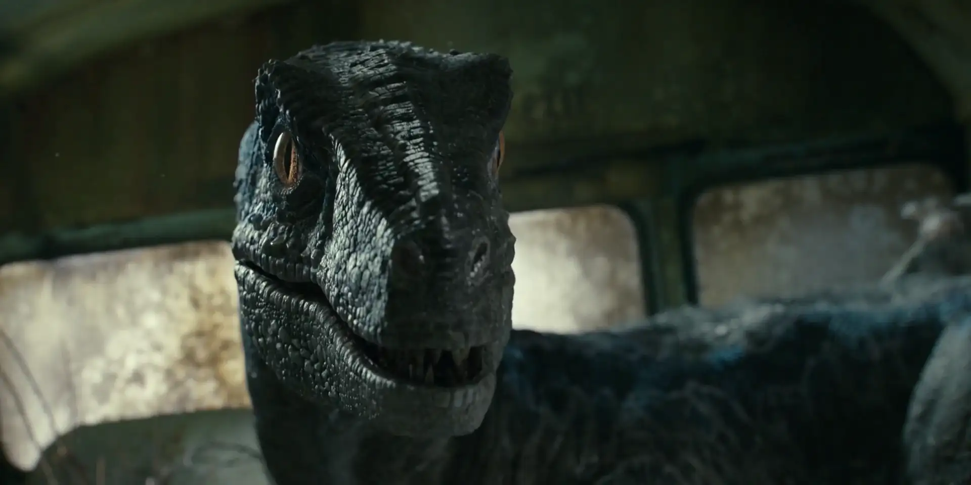 download jurassic world dominion (2022) english full movie web-dl 480p | 720p | 1080p | 2160p 4k