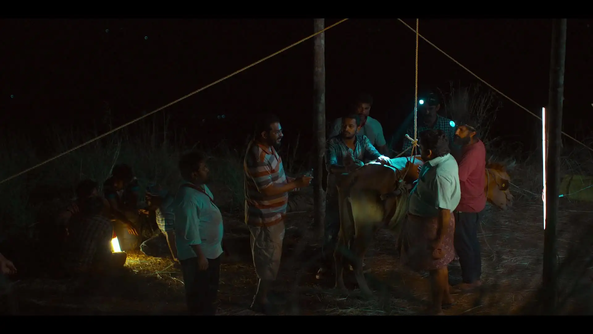 screenshot 267d06 paltu janwar 2022