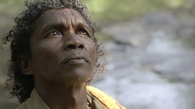 download the elephant whisperers (2022) web-dl dual audio {hindi-english} 480p [300mb] | 720p [470mb] | 1080p [1.4gb]