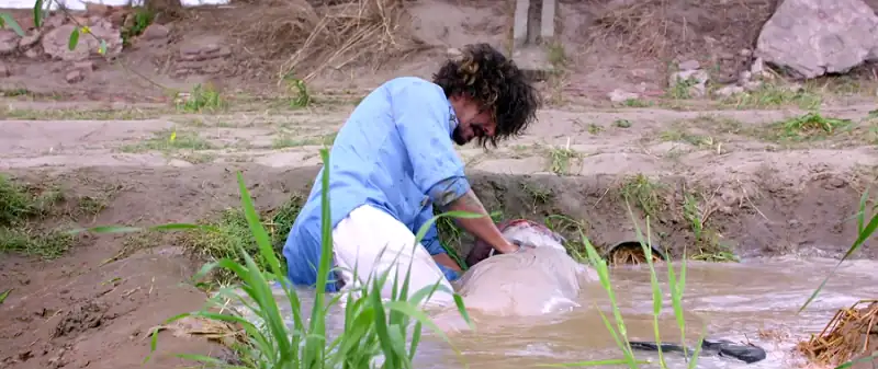 screenshot 26e810 shareek 2015