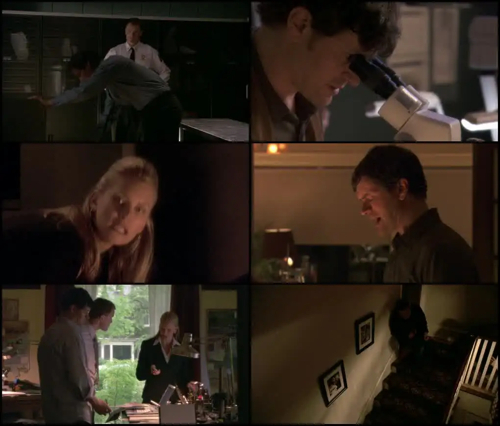 download the devils teardrop (2010) dual audio {hindi-english} bluray 480p [300mb] | 720p [850mb] | 1080p [2gb]