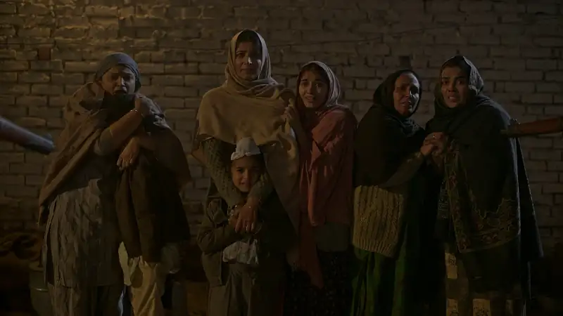 screenshot 29cf86 cat 2022