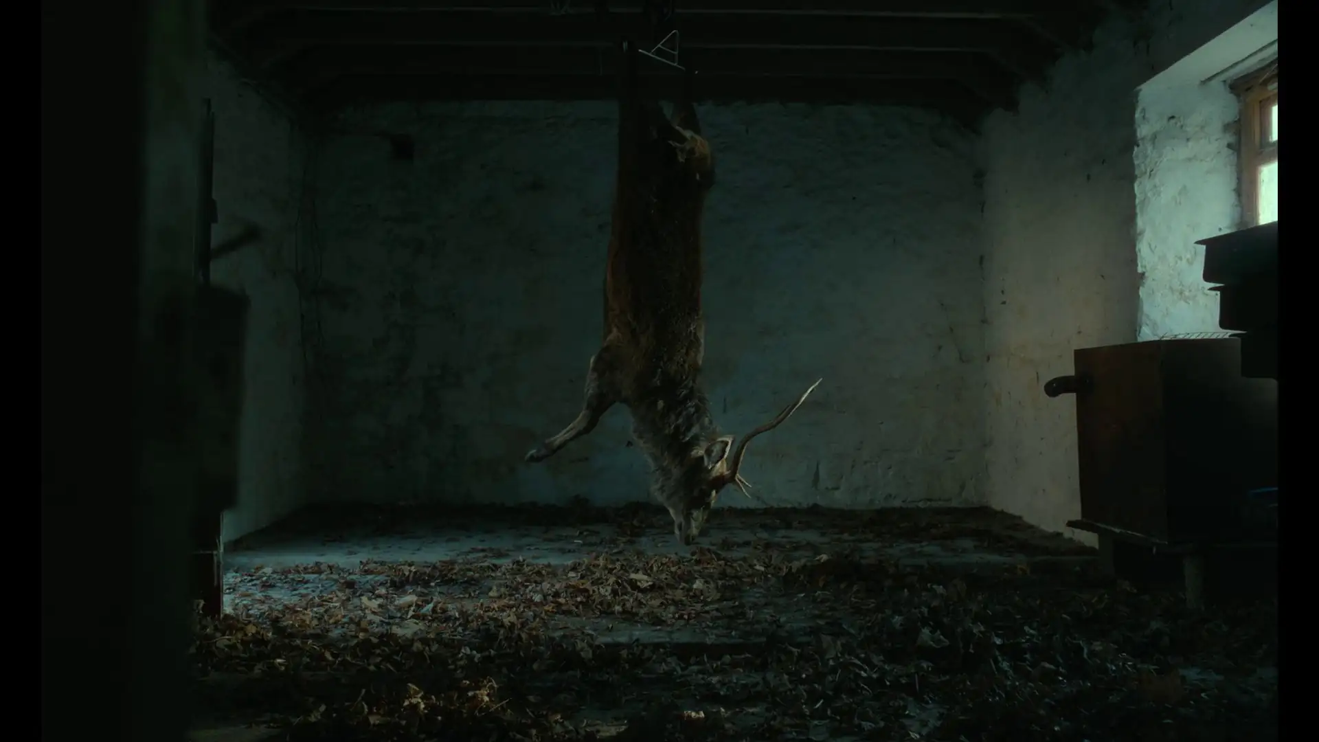 screenshot 29fc1f should i marry a murderer 2026