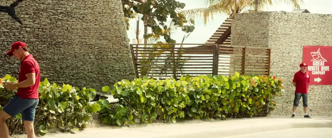 download 47 meters down: uncaged (2019) dual audio {hindi-english} 480p [400mb] | 720p [900mb] | 1080p [2.3gb]