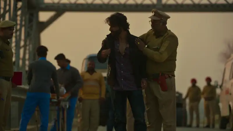 screenshot 2bb61b cat 2022