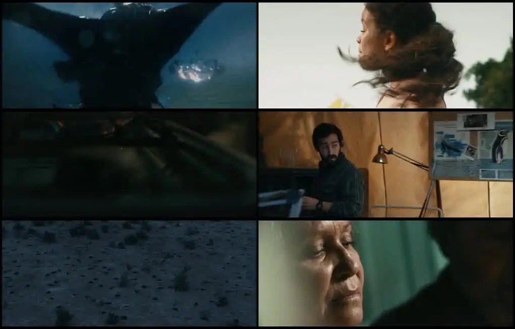 screenshot 2d9be9 my penguin friend 2024