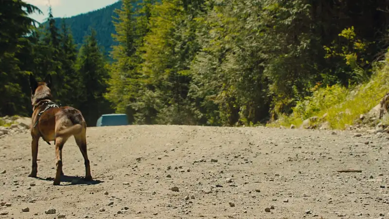 download max 2: white house hero (2017) bluray {english with subtitles} full movie 480p [250mb] | 720p [700mb] | 1080p [1.6gb]