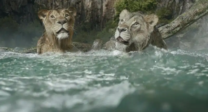download mufasa: the lion king (2024) bluray dual audio {hindi-english} jiohotstar 480p | 720p | 1080p & 2160p 4k