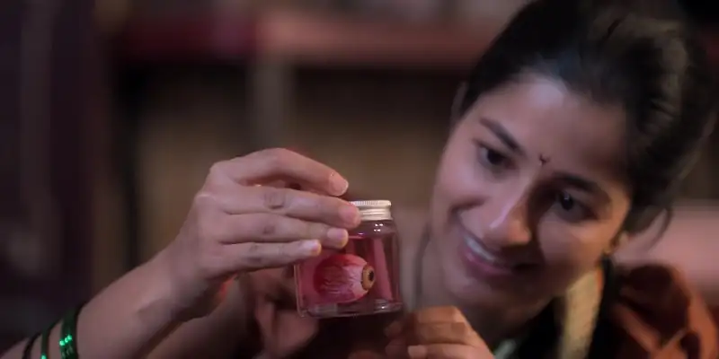 screenshot 30211b sunflower season 1