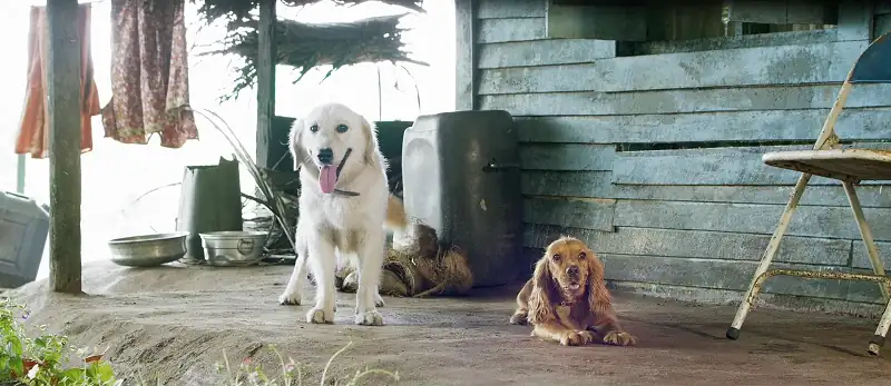 screenshot 310a49 valatty 2023