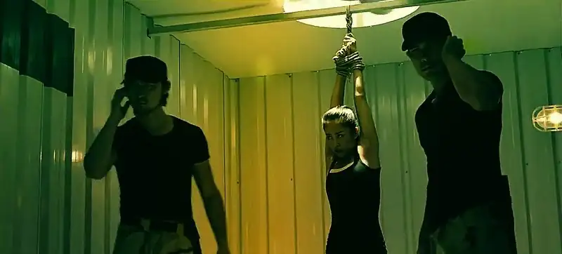 download ameera (2014) dual audio {hindi-chinese} hcsub bluray 480p [350mb] | 720p [1.1gb] | 1080p [2gb]