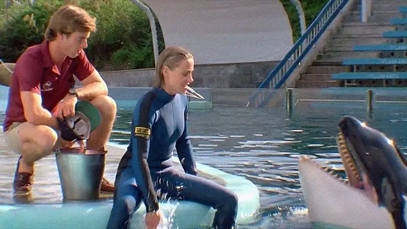 download jaws 3 – jaws 3-d (1983) bluray dual audio {hindi-english} 480p [250mb] | 720p [1gb] | 1080p [2gb]