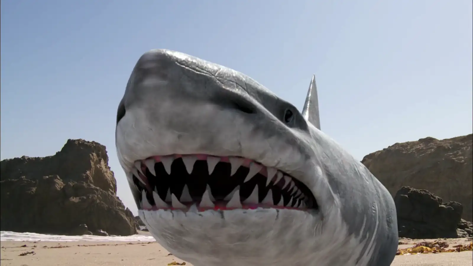 download super shark (2011) dual audio [hindi + english] web-dl 480p [300mb] | 720p [1gb] | 1080p [1.8gb]