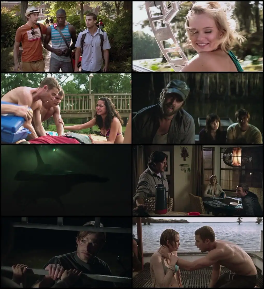 download shark night (2011) bluray dual audio {hindi-english} 720p [660mb] | 1080p [1.7gb]