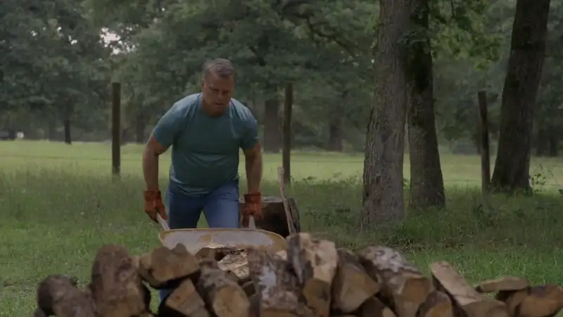 download sightings (2017) dual audio {hindi-english} 480p [400mb] | 720p [1gb] blu-ray