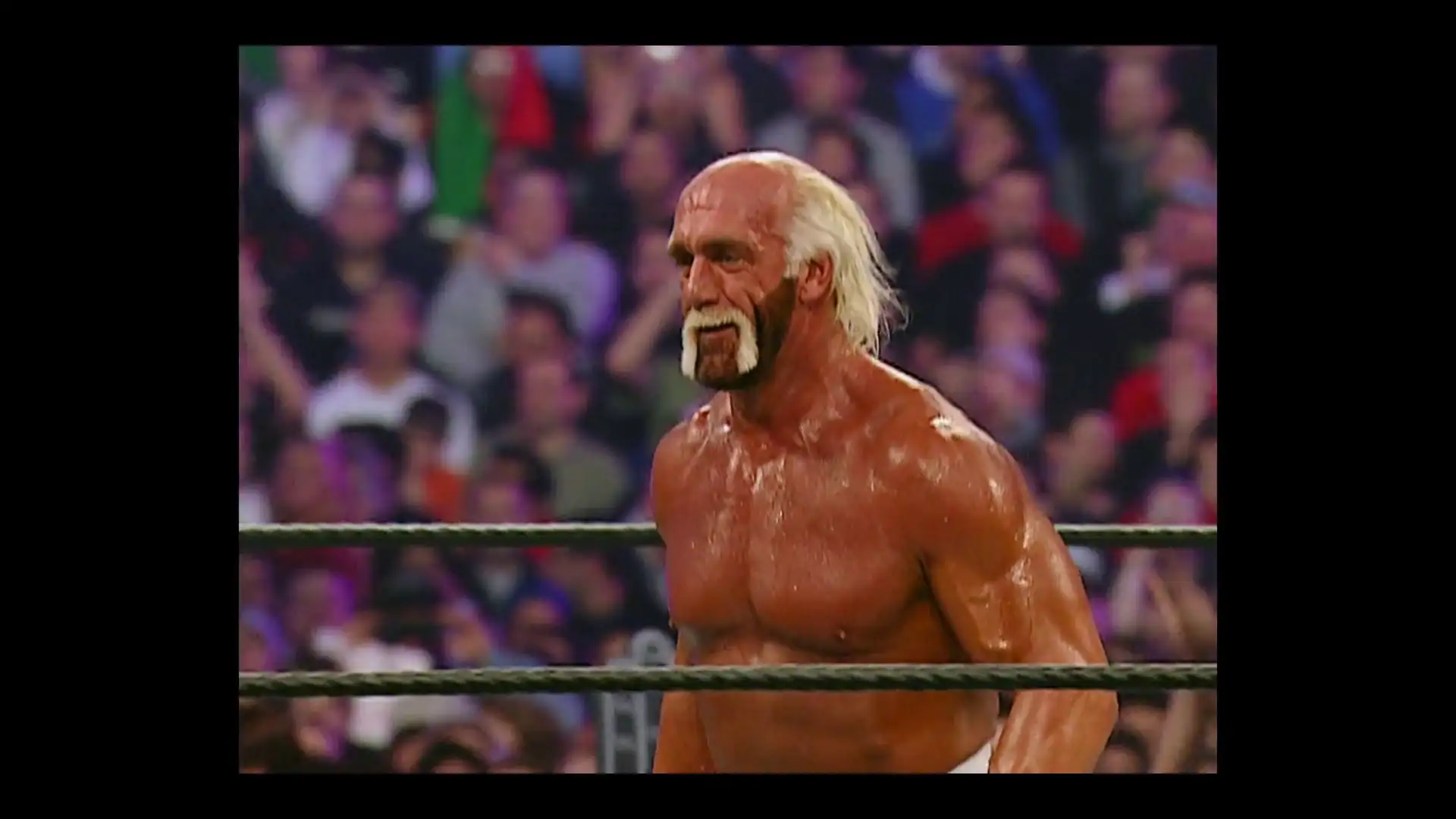 screenshot 33cce3 hulk hogan real american 2026