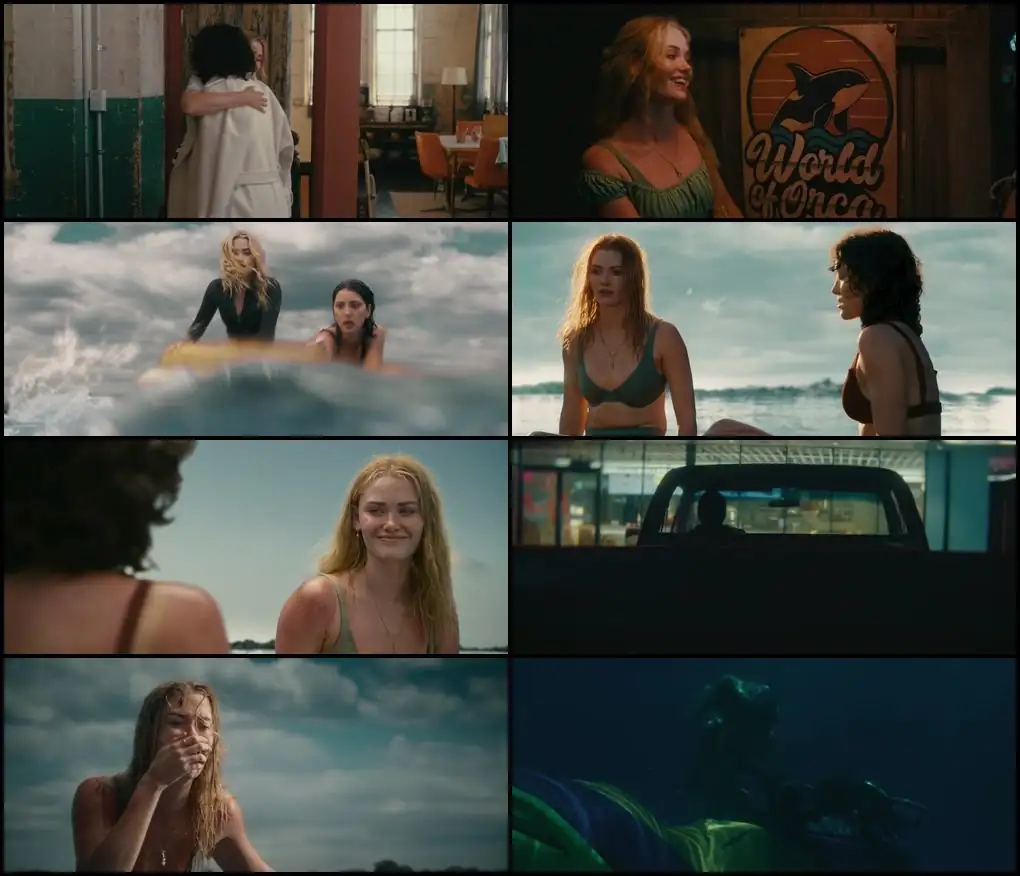 screenshot 34fc0a killer whale 2026