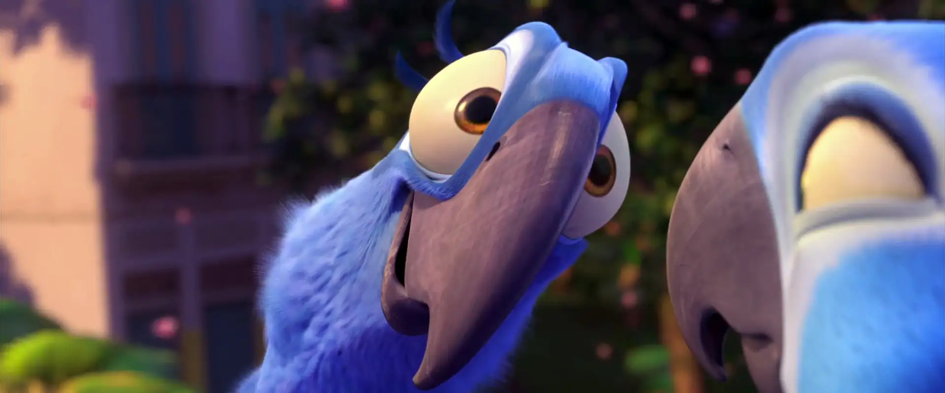 download rio (2011) dual audio {hindi-english} 480p [350mb] | 720p [1gb] | 1080p [2gb]