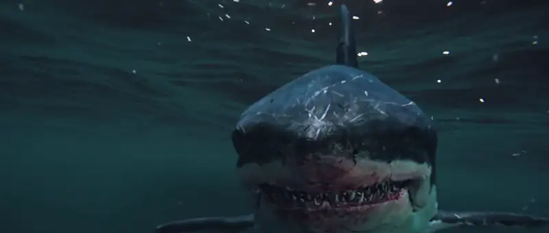 download huge shark (2021) web-dl dual audio {hindi-chinese} 480p [250mb] | 720p [650mb] | 1080p [1.5gb]