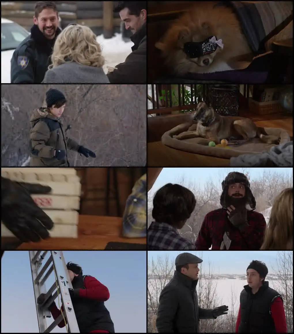 screenshot 375973 step dogs 2013