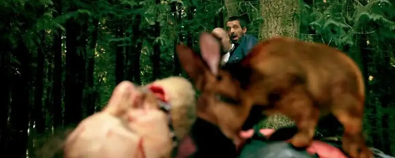 download cute little buggers (2017) dual audio {hindi-english} 480p [350mb] | 720p [1gb] bluray