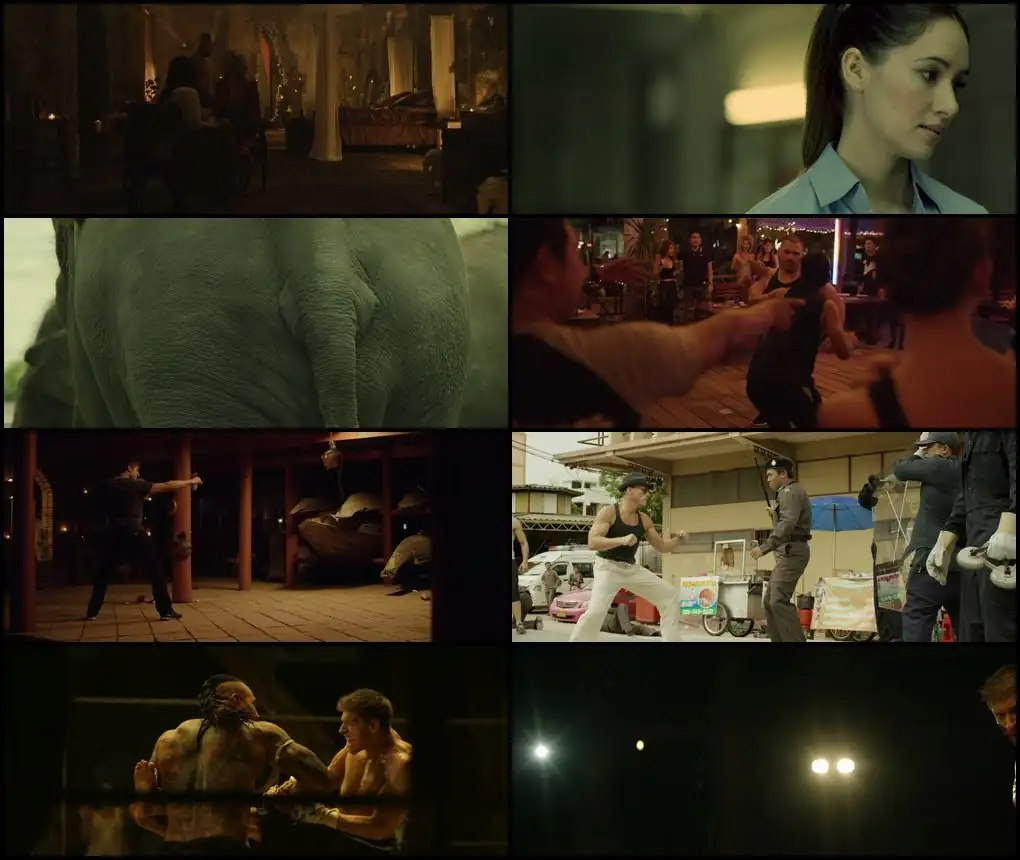 screenshot 37d4c7 kickboxer vengeance 2016