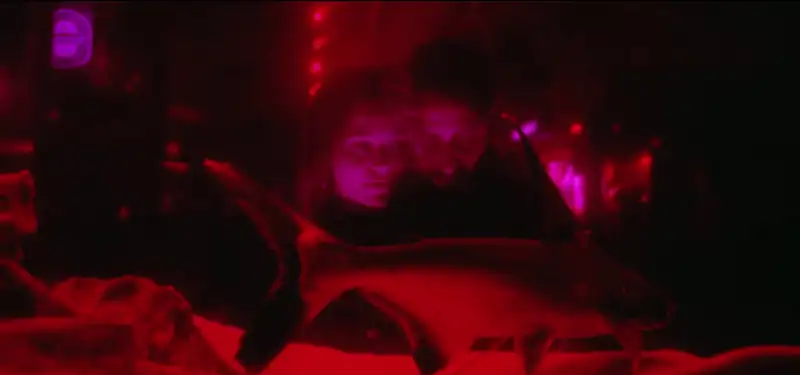 download the subtle art of not giving a f*ck (2023) web-dl {english with subtitles} full movie 480p [300mb] | 720p [800mb] | 1080p [2gb]