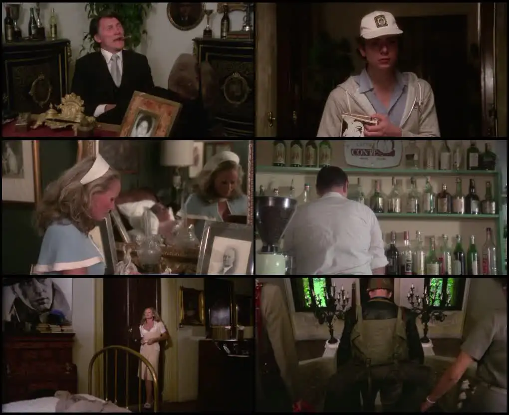 screenshot 3ac270 18 the sensuous nurse 1975